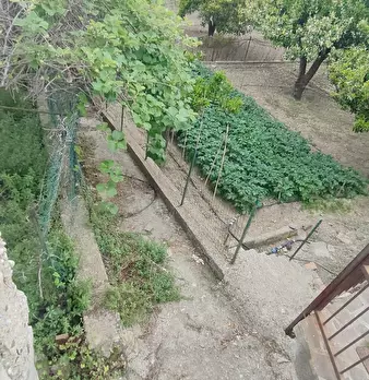 Foto annuncio 44