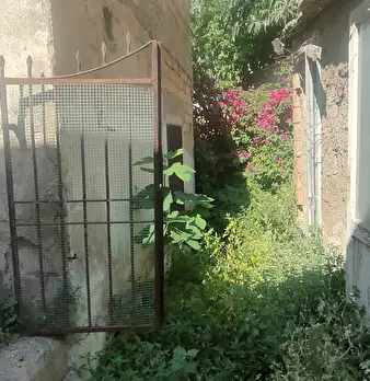 Foto annuncio 10
