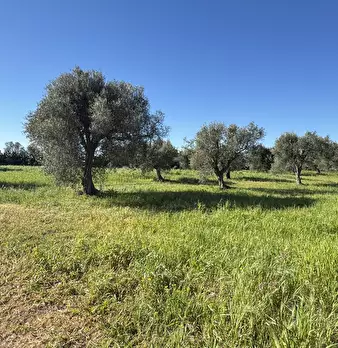 Foto annuncio 13
