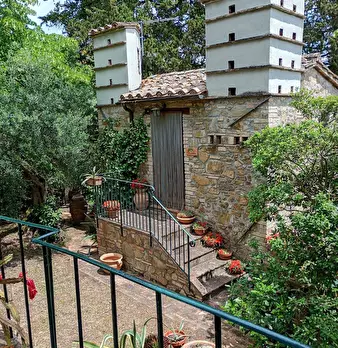 Foto annuncio 18