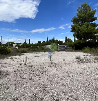 Foto annuncio 10