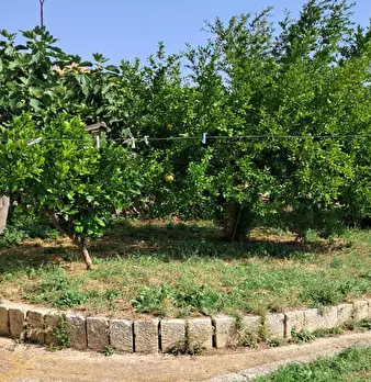 Foto annuncio 4