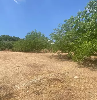 Foto annuncio 53
