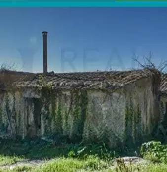 Foto annuncio 17