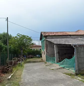 Foto annuncio 9