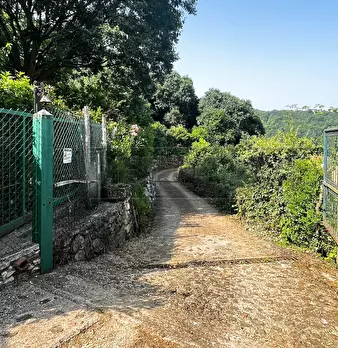 Foto annuncio 2