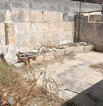 Foto annuncio 8