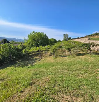 Foto annuncio 8