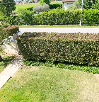 Foto annuncio 29