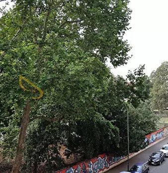 Foto annuncio 11