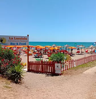 Foto annuncio 20