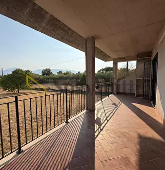 Foto annuncio 20