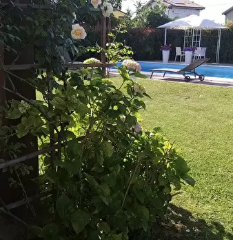Foto annuncio 32