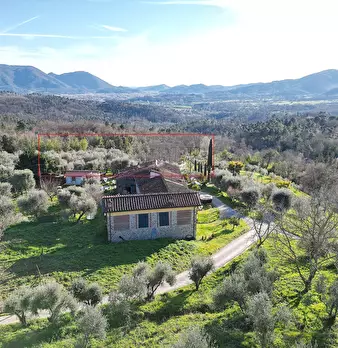 Foto annuncio 6