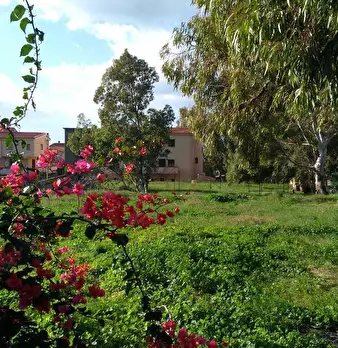 Foto annuncio 10