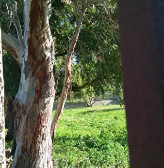 Foto annuncio 3