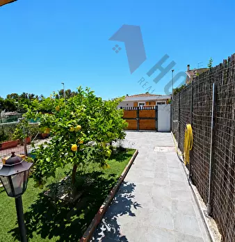 Foto annuncio 12