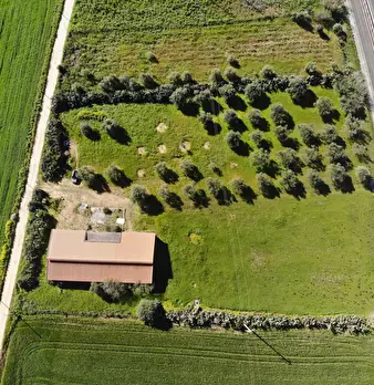 Foto annuncio 1