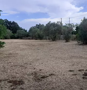 Foto annuncio 60