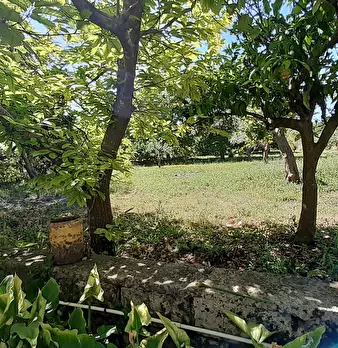 Foto annuncio 18