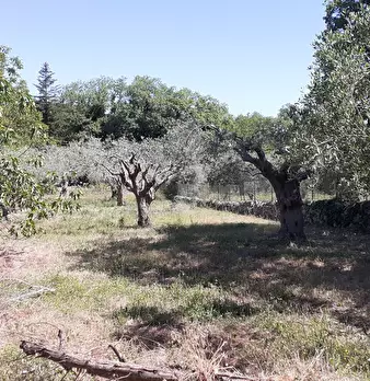Foto annuncio 35