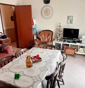 Foto annuncio 5