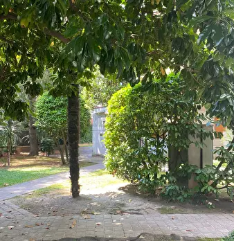 Foto annuncio 19