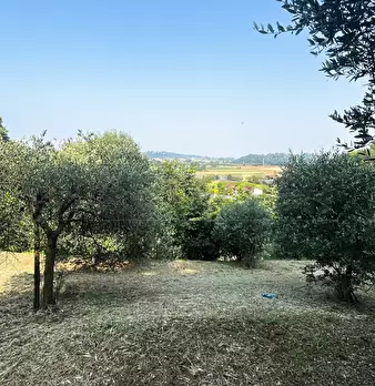 Foto annuncio 16
