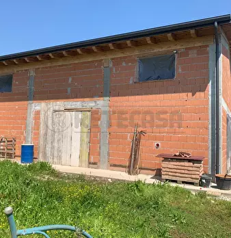 Foto annuncio 7