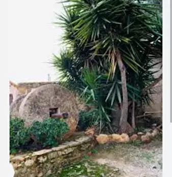 Foto annuncio 15