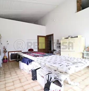 Foto annuncio 31