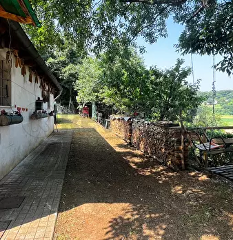 Foto annuncio 29
