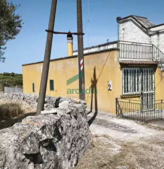 Foto annuncio 36