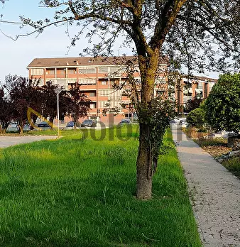 Foto annuncio 20
