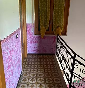 Foto annuncio 19