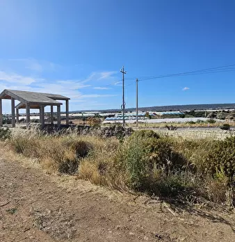 Foto annuncio 6
