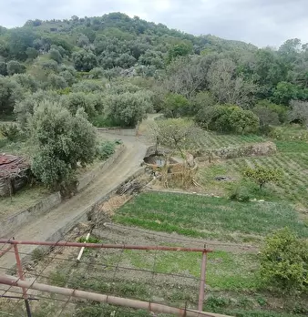 Foto annuncio 9