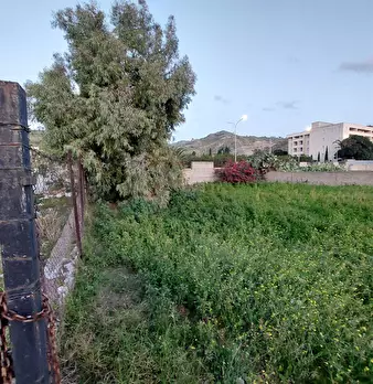 Foto annuncio 14
