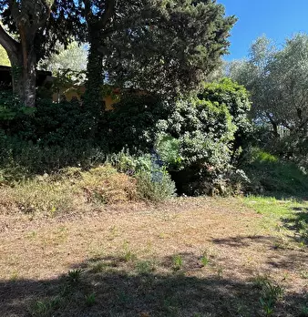 Foto annuncio 13
