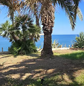 Foto annuncio 36
