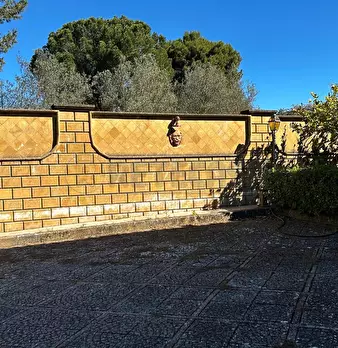 Foto annuncio 7