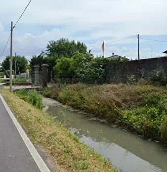 Foto annuncio 6