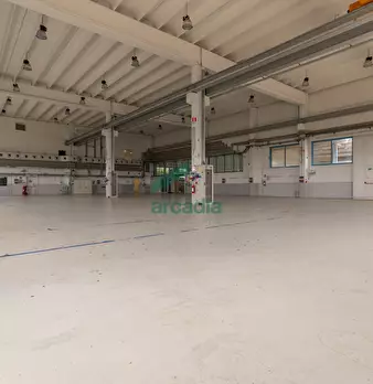 Foto annuncio 66