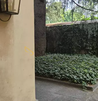 Foto annuncio 25