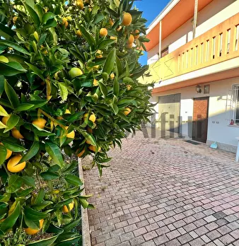 Foto annuncio 10
