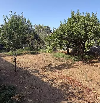 Foto annuncio 9