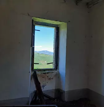 Foto annuncio 26