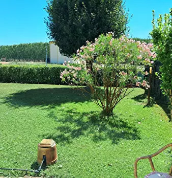 Foto annuncio 8