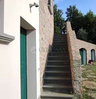 Foto annuncio 5
