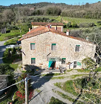 Foto annuncio 7